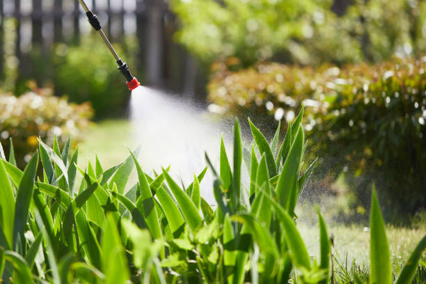 24/7 Emergency Ant Control experts in Caledonia, MN